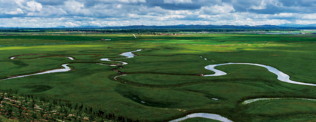 Plans for implementing the Outline - Hebei province